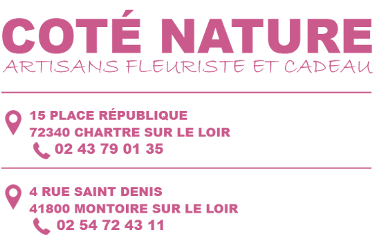 fleuriste-cote-nature